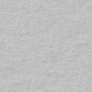 白起照片浅色图片