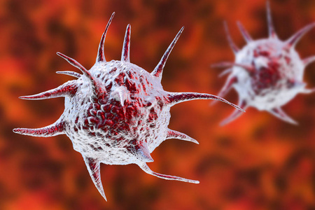 病原微生物寄生虫照片