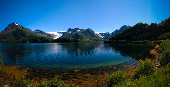 全景视图对 Holandsfjorden, Nordfjorden 和 Svartisen 冰川在 Meloy, 挪威