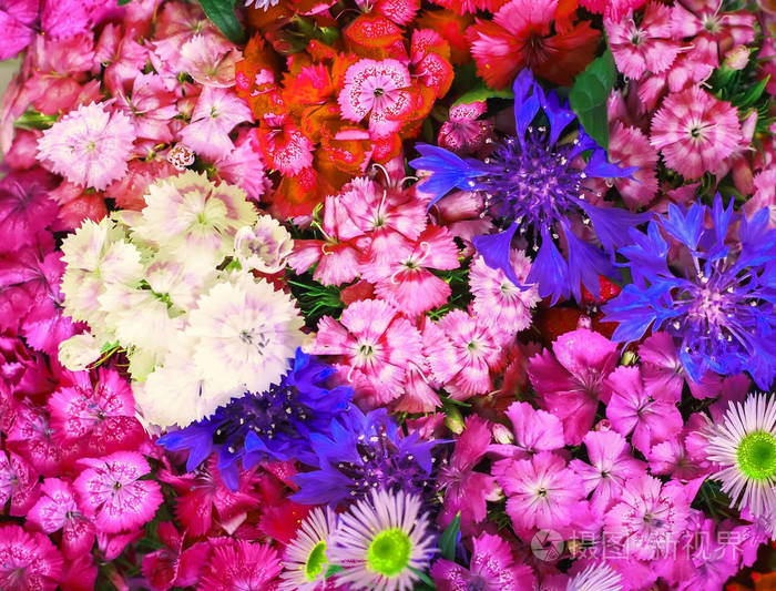 抽象的背景鲜艳的野花, 五颜六色的花朵背景.插花, 鲜花花束.