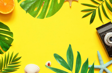 热带背景。棕榈树分支与海星和贝壳在黄色背景。旅行