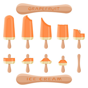 矢量插画标志天然柚子冰淇淋在棍子上。冰淇淋模式包括甜冷冰淇淋, 设置可口的冷冻甜点。柚子各式各样鲜果