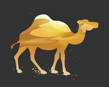 骆驼的剪影沙漠沙丘景观里面一个骆驼的剪影照片