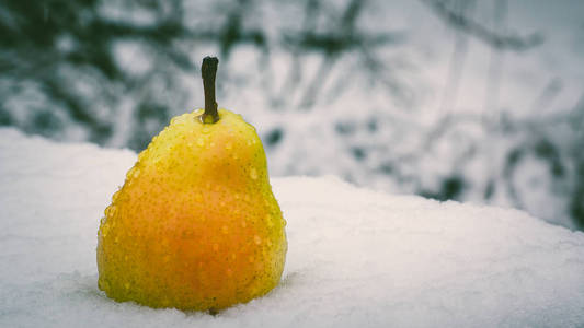 热带水果在雪地上