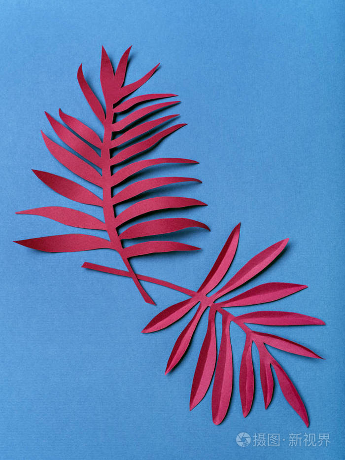 带叶子的纸树枝
