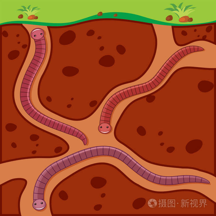蚯蚓挖土地下插图