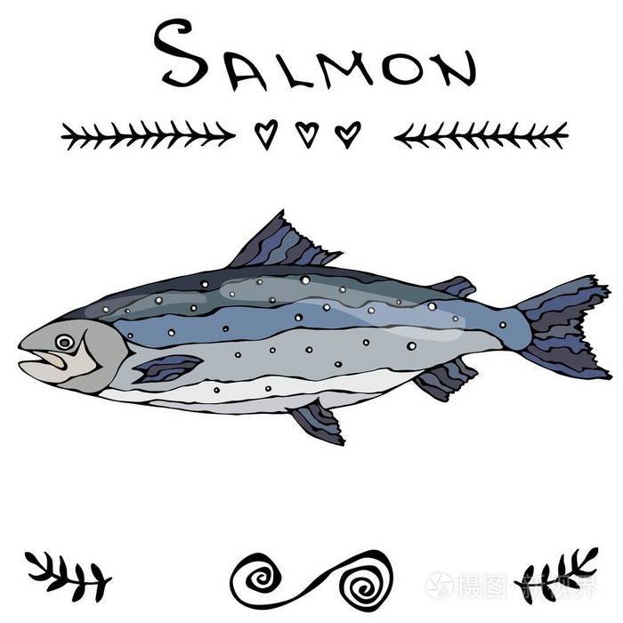 钓鱼俱乐部或海鲜寿司菜单的三文鱼.