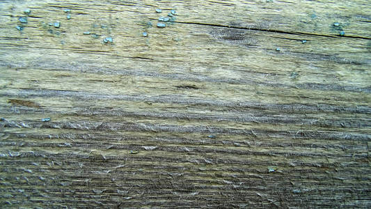 抽象的老裂纹木质。艺术树背景