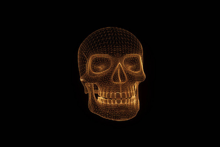 人类的头颅骨三维线框全息在运动。漂亮的 3d 渲染