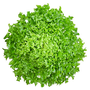 新鲜的绿色橡木沙拉, 在白色背景下分离。健康的生活方式或健康的饮食场景。生菜, 低卡路里