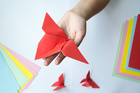 折纸做的动物园图片