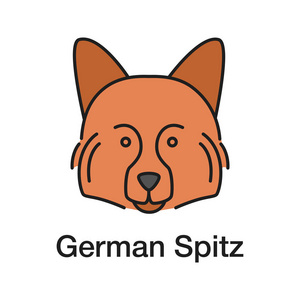 德国斯皮茨颜色图标。狩猎犬品种。孤立向量插图