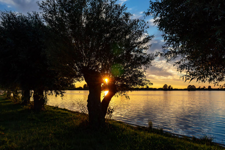 在美丽的日落在湖 Zoetermeerse plas, 太阳照耀通过的分支
