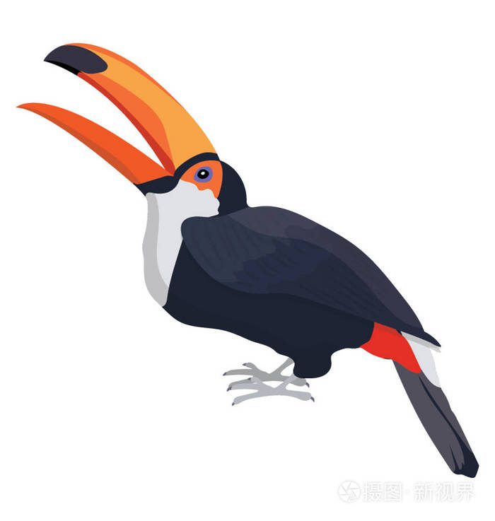 乌鸦像五颜六色的鸟儿长喙 托哥巨嘴鸟插画 正版商用图片0q8qak 摄图新视界 乌鸦像五颜六色的鸟儿长喙 托哥巨嘴鸟插画 正版商用图片0q8qak 摄图新视界
