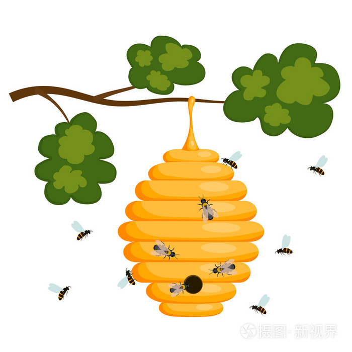 蜂巢隔离.股票 v插画-正版商用图片0q8rj5-摄图新视界