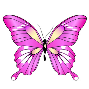 美丽的粉红蝴蝶，孤立在一张白纸
