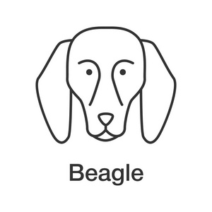 猎犬线性图标。细线插图。猎犬犬品种。轮廓符号。矢量隔离轮廓图
