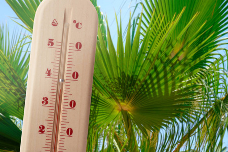 炎热的夏季天气照片