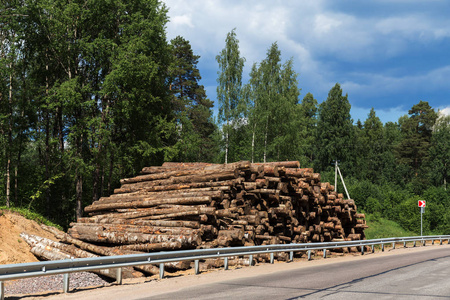森林树木砍伐为新的城市的建设
