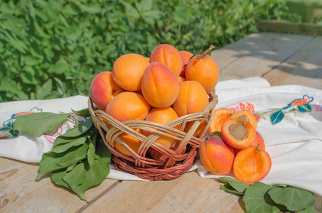 木桌上有绿叶的成熟杏。柳条篮中的鲜杏