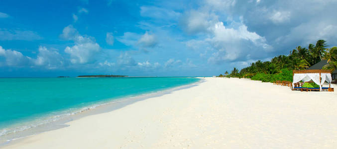 在马尔代夫与几个棕榈树和蓝色泻湖地处热带的海滩