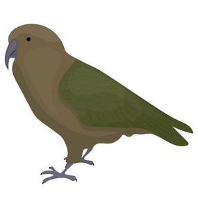 棕褐色小羽毛鸟代表金鹰
