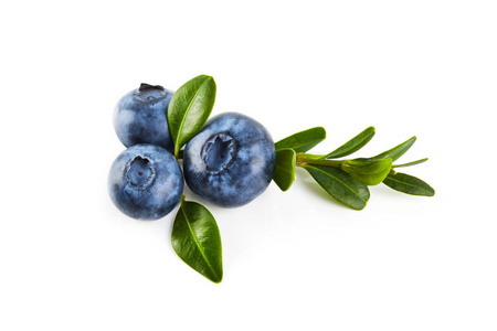 蓝色浆果在白色背景下分离。食品配料。新鲜水果