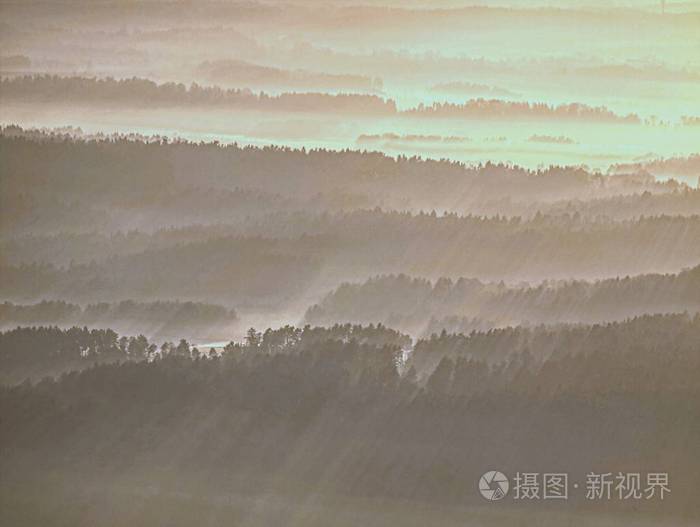金色的薄雾在圆形的山丘之上的景观。清晨金色光芒中的真实景观概述