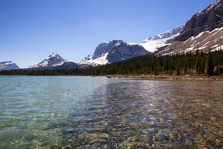 冰川湖在一个充满活力的阳光夏日。在加拿大艾伯塔省班夫国家公园的弓湖拍摄