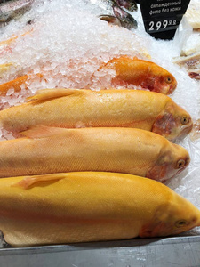 在冰上的新鲜鲑鱼鱼在市场上