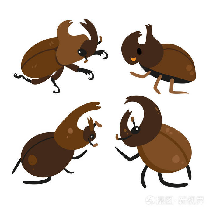 甲虫载体的采集设计动物载体设计昆虫载体设计