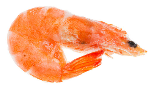 冷冻水煮的虾白皮虾冷冻煮虾照片