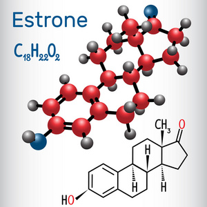 性激素雌 e1 雌激素, 小女性性激素结构化学公式和分子模型.