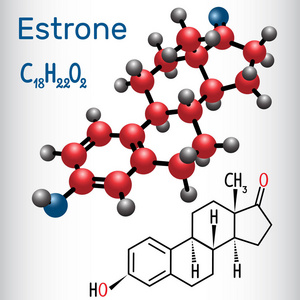 雌 E1 雌激素, 小女性性激素结构化学公式和分子模型。矢量插图