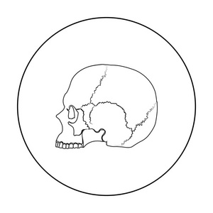 大纲黑色和白色图片-大纲黑色和白色素材-大纲黑色和白色插画-摄图新