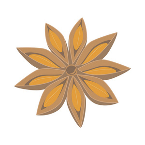 切碎的茴香图片-切碎的茴香素材-切碎的茴香插画-摄图新视界