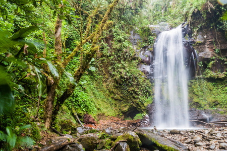 Boquete 附近的瀑布, 巴拿马。被丢失的瀑布徒步旅行的路线容易接近