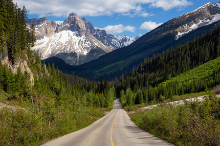 美丽的道路在加拿大落基山脉在一个充满活力的阳光明媚的夏日。在加拿大不列颠哥伦比亚省约霍国家公园拍摄