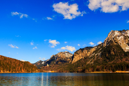 Alpsee 湖景观