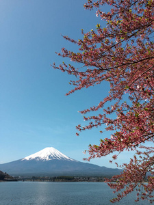 河口湖湖山梨日本富士山