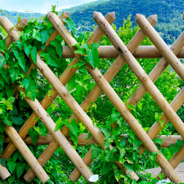 木栅栏和绿色植物