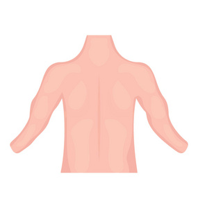 人体背面表示背部肌肉图标
