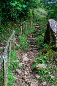 失落的瀑布徒步小径附近的 Boquete, 巴拿马