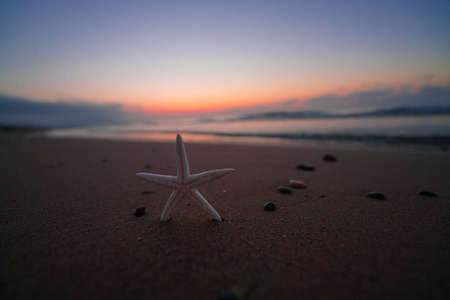 海滩上的日出和海星