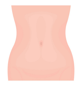 女生腹部人体图片