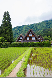 日本白川乡的传统和历史的日本村落, 白川乡因其传统的合掌zukuri 房屋而被列入联合国教科文组织世界遗产名录。