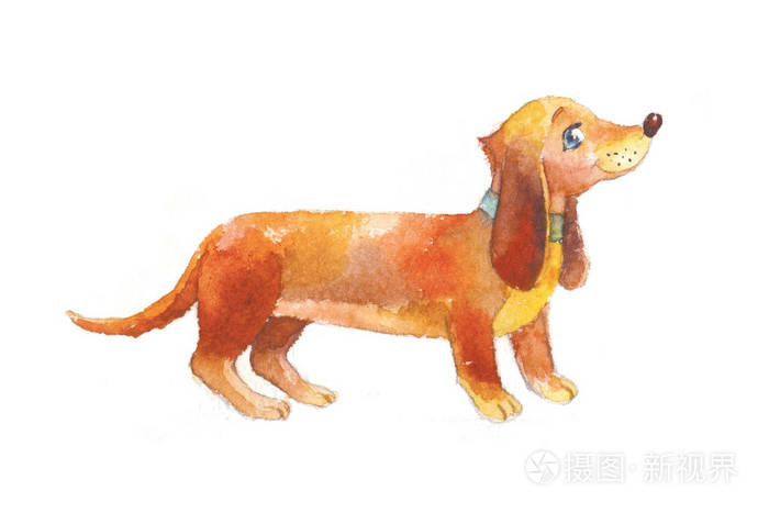 腊肠犬水彩插图