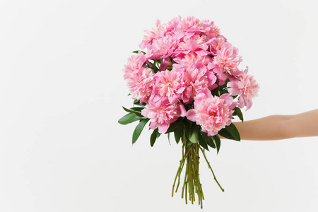 女性手捧着美丽的粉红色牡丹花花束在白色背景上被隔绝。情人节, 国际妇女节节日的概念。广告区域复制空间广告