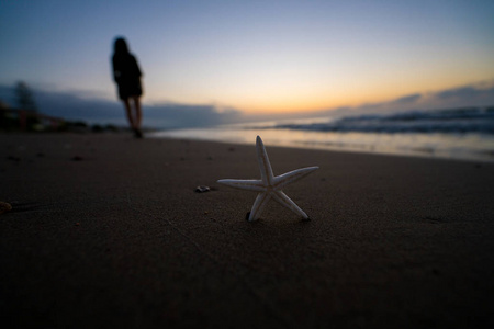 海滩上的日出和海星