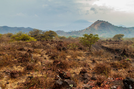 尼加拉瓜 Telica 火山附近的景观